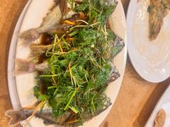-揭阳钟记小食(福田新村店)