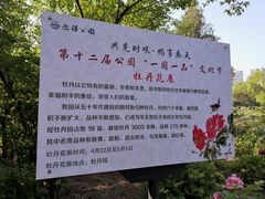 -迎泽公园