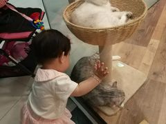 -袖虎·猫馆(体育西路店)