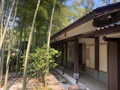 -南山植物园