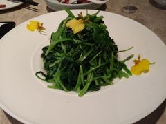 葱油鸡毛菜-106餐厅(山水文园店)