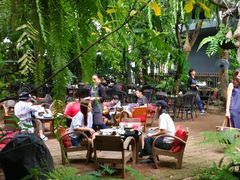 -Fern Forest Cafe