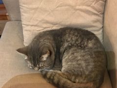 -天使咖啡(兴新街店)