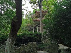 -赭山公园
