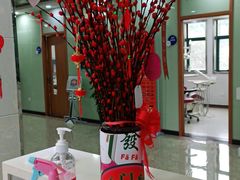 -茂菊口腔连锁(浦东南路店)