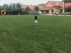 -意大利农场度假村