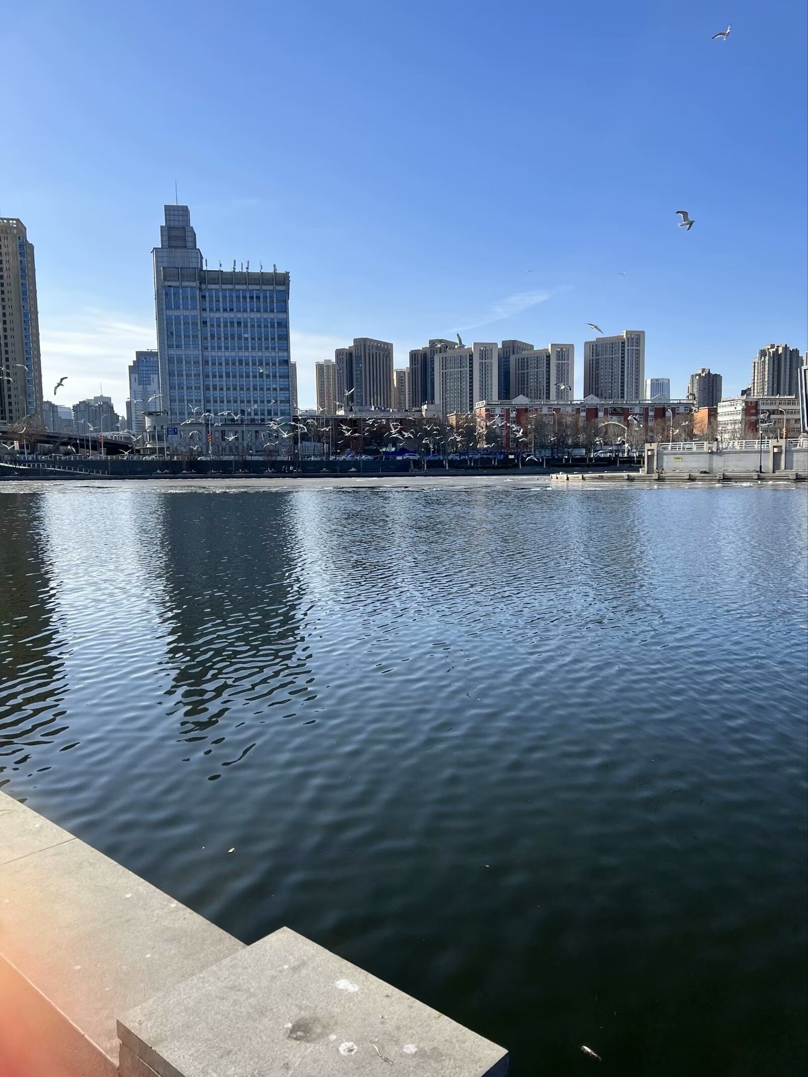 天天领红包海河三岔河口,风景宜人,河道干净整洁