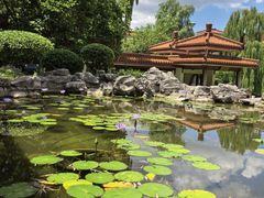 -舜耕山庄四时万和自助餐厅