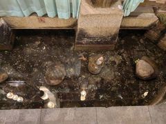 -淀里船宴(卓达店)