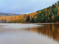 -五营红松林海景区