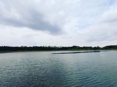 -溱湖国家湿地公园