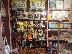 -FAELING PETS美天灵宠物(合生汇店)