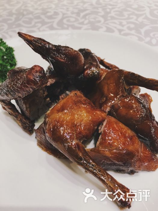 南园酒家-乳鸽-菜-乳鸽图片-广州美食-大众点评网