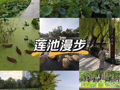 -莲湖公园