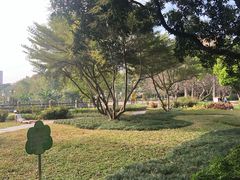 -晓港公园