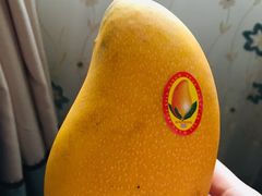 -鲜丰水果(九洲新世界花苑店)