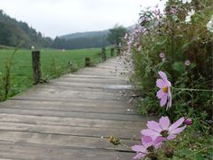 -武陵山森林公园