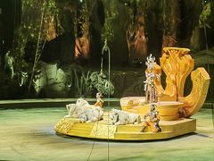 -广州长隆国际大马戏