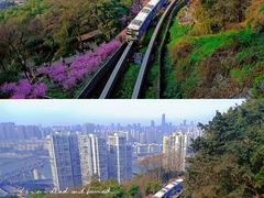 -佛图关公园