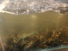 -熊记虾王·小龙虾(东晓南店)