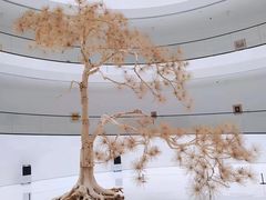 -上海宝龙美术馆