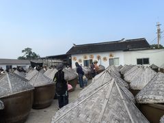 -苏州市吴中区光福窑上花果蜜饯厂