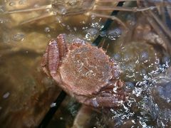 -蟹之国·精品蟹料理(极地店)