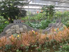 -南宫五洲植物乐园