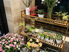 -华雅酒店(岳阳楼区火车站店)