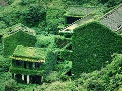 -枸杞岛
