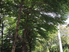 -广州珠江新城木莲庄酒店(暨南大学店)