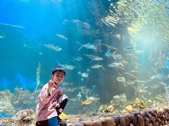 -华夏文旅海洋公园