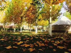 -九十九顶毡房(阜石路店)