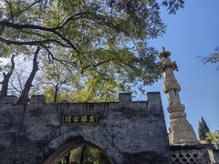 -大槐树寻根祭祖园