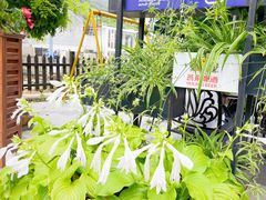 -京北渔家傲