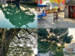 -楠溪江风景名胜区