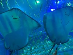 -成都浩海立方海洋公园