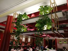 -大鸭梨烤鸭·北京菜(南小街/南苑店)