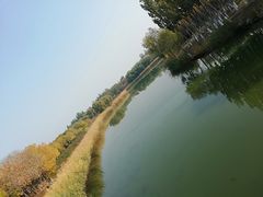 -大兴滨河森林公园