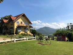 -黄色小屋