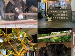 -元鼎宝驴香·全驴宴(江宁店)