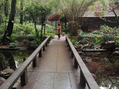 -广州兰圃