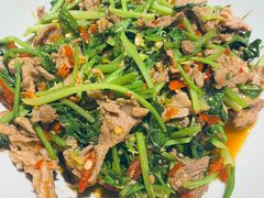 -壹盏灯(惠农店)