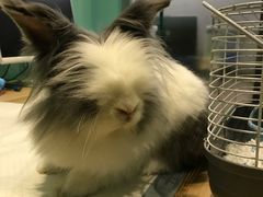 -雨林宠物医院 非犬猫异宠专科