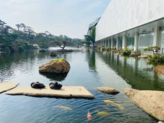 -罗红摄影艺术馆