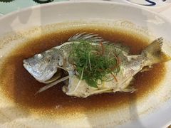 -新海利海鲜城·41年珠海老字号(夏湾店)