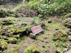 -海口火山口国家地质公园