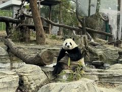 -武汉动物园