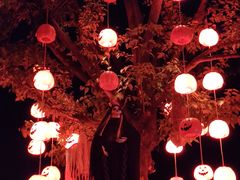 -七彩云南欢乐世界