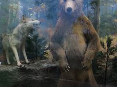 -国家自然博物馆